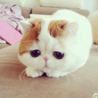 Lựa chọn nhà hàng tổ chức tiệc cưới