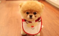 Bỏ đi nỗi lo tổ chức tiệc cưới
