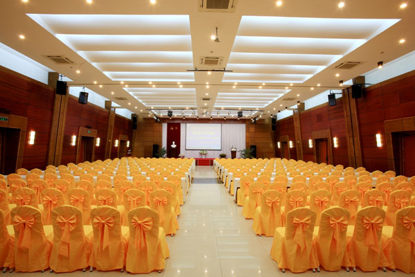 Nơ áo phủ ghế